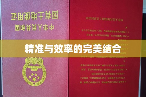 化隆精准与效率的完美结合